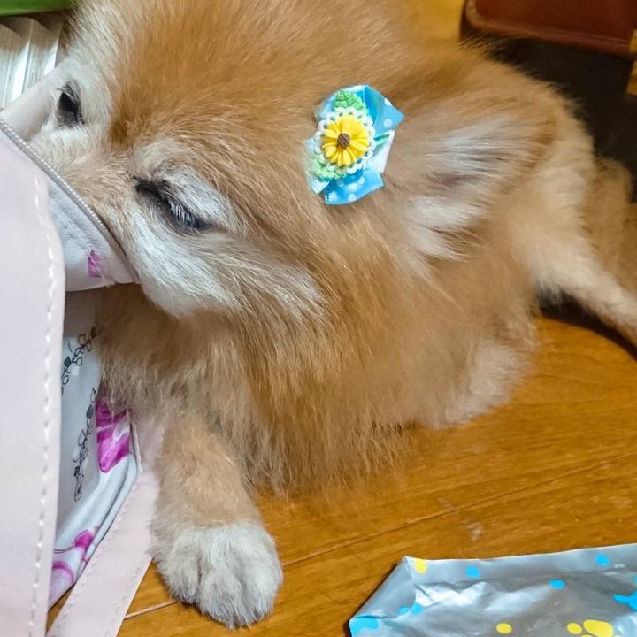 2099f436 e752 4c23 bdfd f8d66016f718 1536835592971