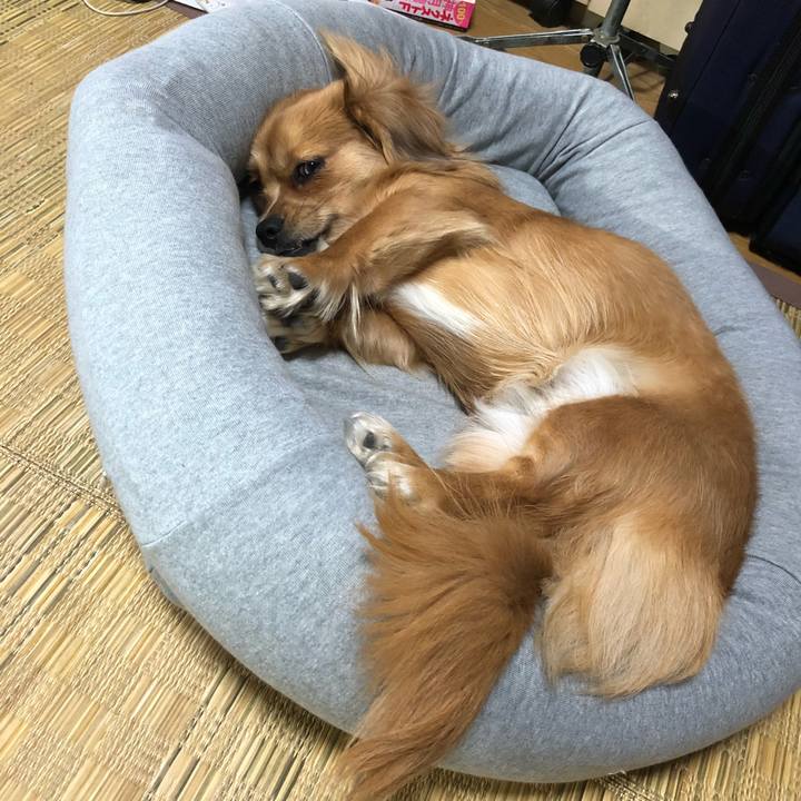 209a0cb3 b2cf 4145 a37c e325203de3a4 1511679893937