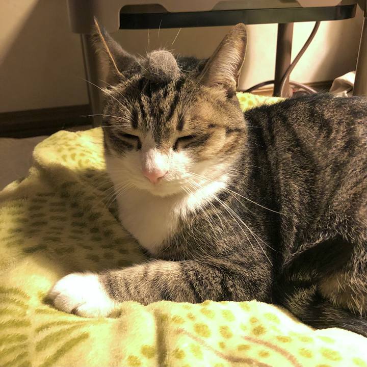 209a0ed7 0eda 4404 a9d0 739a6df133e0 1654997582266