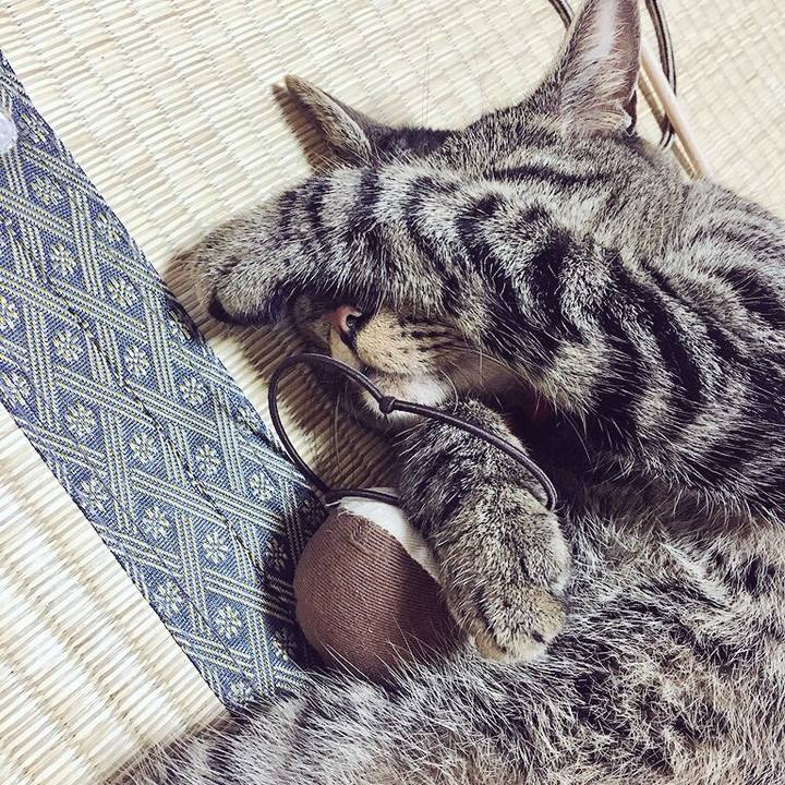 209a0f8a a5a7 44dc b899 30fdd5945d66 1531023562886