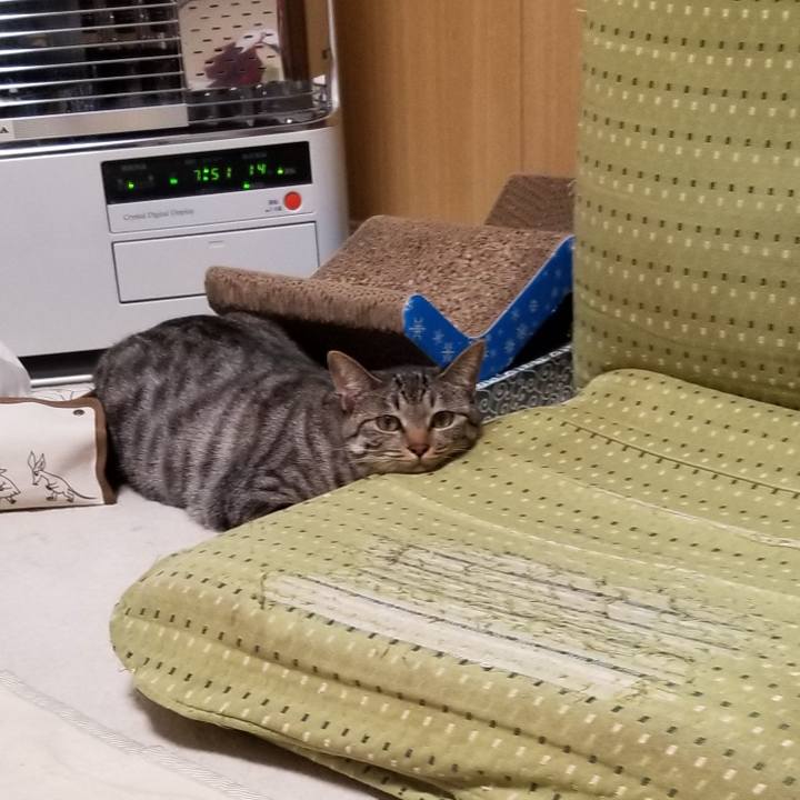 209a1249 890d 49a5 8424 cec30022cea1 1688463726632