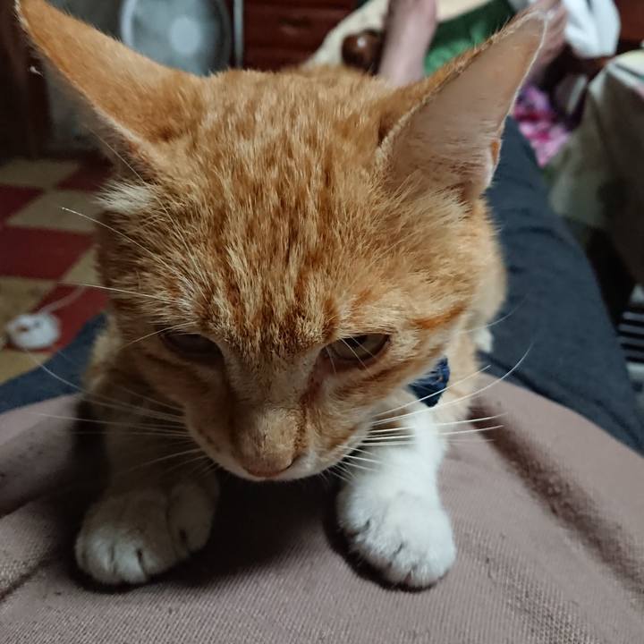 209a57c9 8c81 486e bc86 d39f100d893a 1560567176862