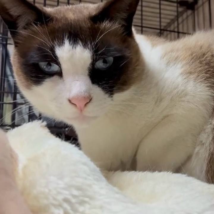 209a5e51 212d 42fa 9a6c 6f06023cfd0b 1744796593148