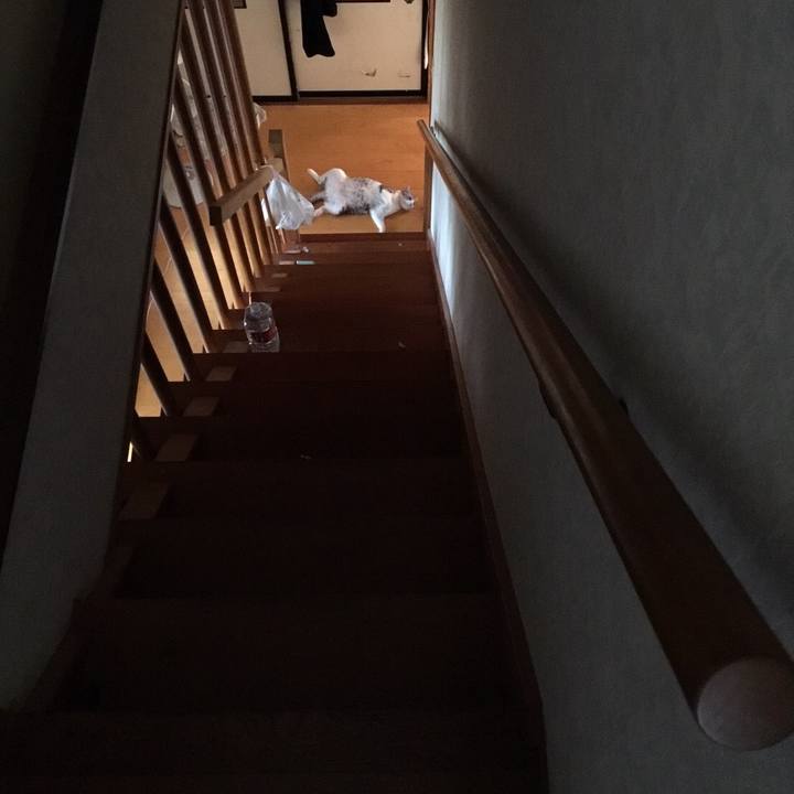 209aa242 90cc 48b9 920c e57ebc05281a 1567822718295