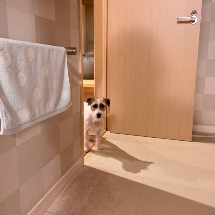 209acaa9 77cc 44f9 83eb 80c3af7218ef 1627130492593