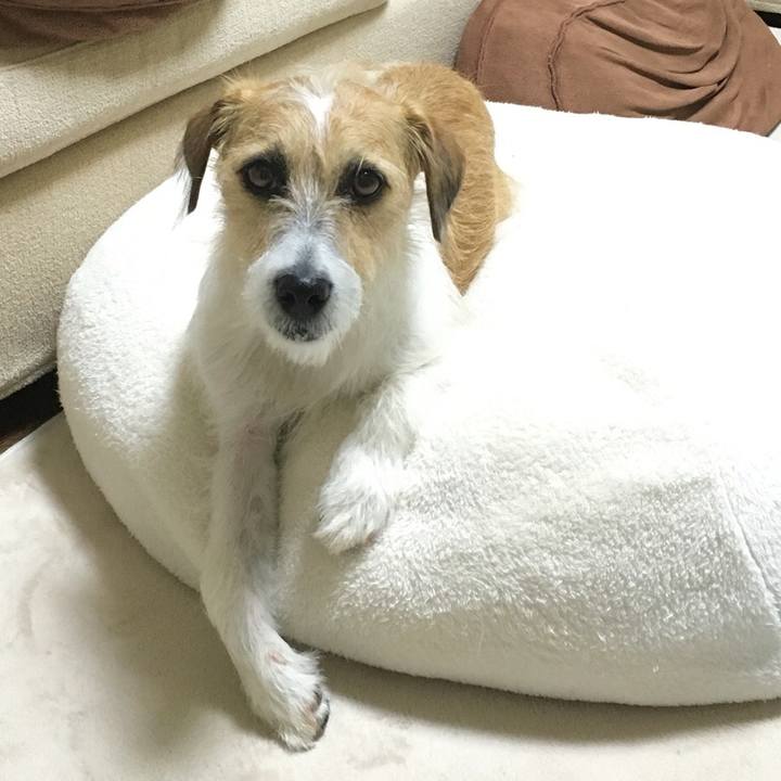 209b1f55 27f4 4ae5 860a fc308998a10d 1539441824811