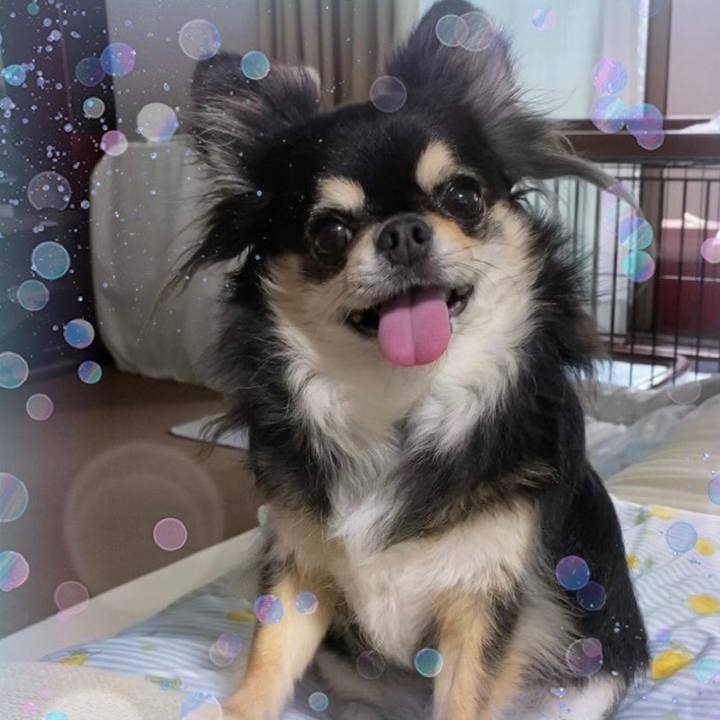 209b6567 5517 4f47 b9eb d3e5c4345c30 1659180246752