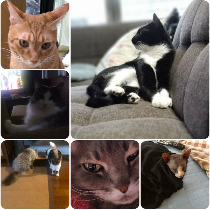 209b8688 fe59 41f2 ba4d 563bf7451f82 1567242150249