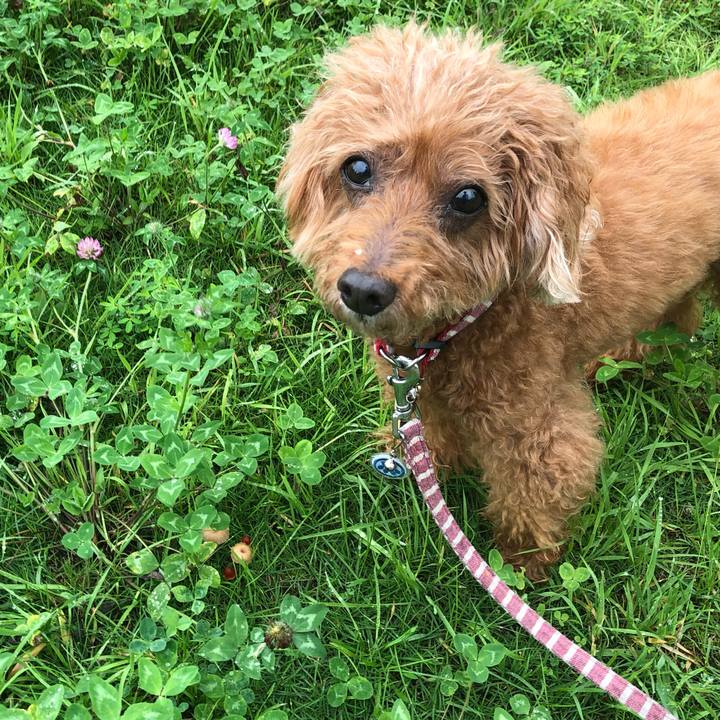 209b872e 3895 4967 b927 e1b3b97d745f 1595986464170