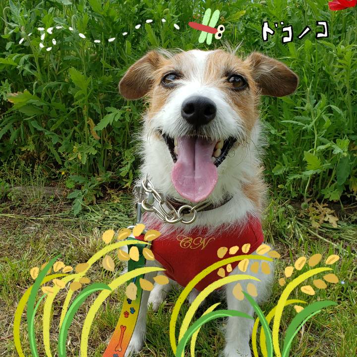 209b8a48 f5d7 4cb0 9586 6f4e5d3f7a03 1761374563954