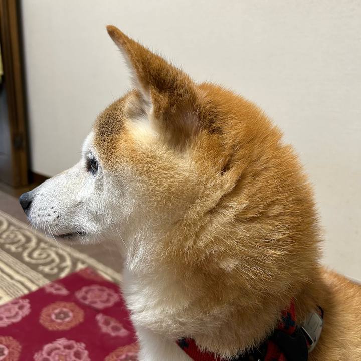 209bba07 246f 4e98 9185 197c5e653465 1696588525526