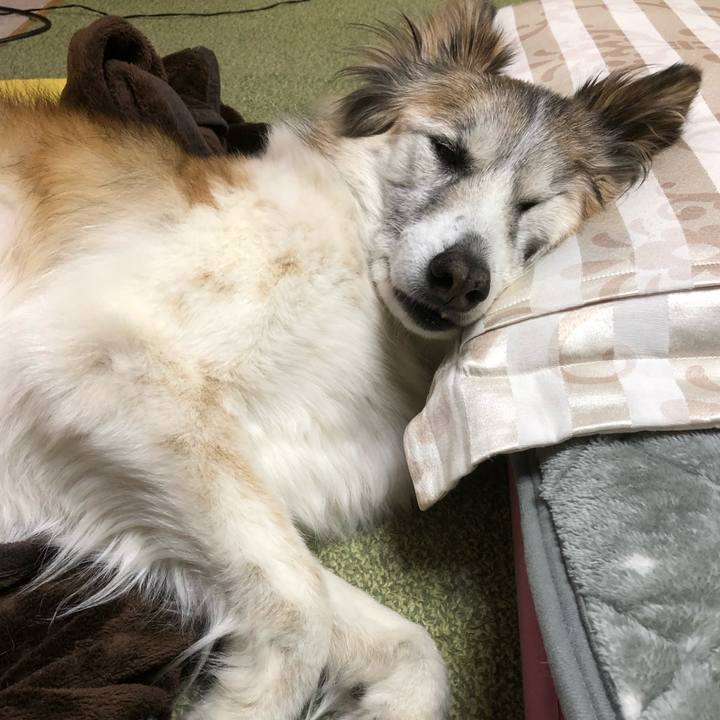 209bddaf 33a3 4d93 a576 2cffb274554e 1544391775400