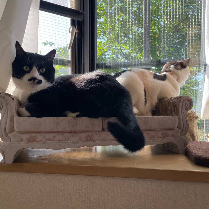 209bf91b 4493 46c7 b23e 66e88e6e9141 1684878667328