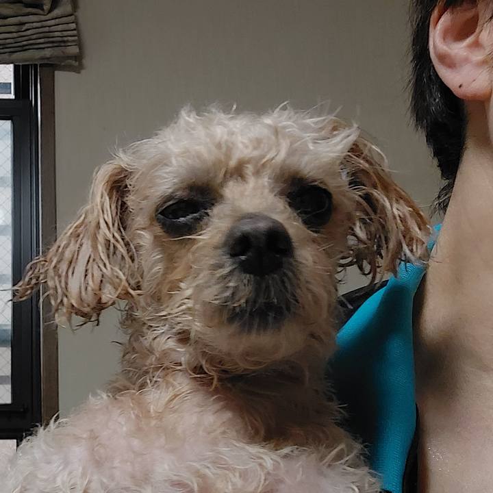 209c0606 90af 47fd 9c94 2fe1f668a513 1719183372604