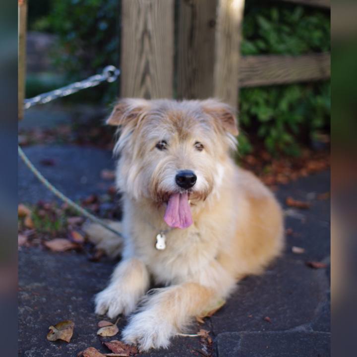 209c2219 4554 44e5 8560 aa672ef91e4d 1633917472742