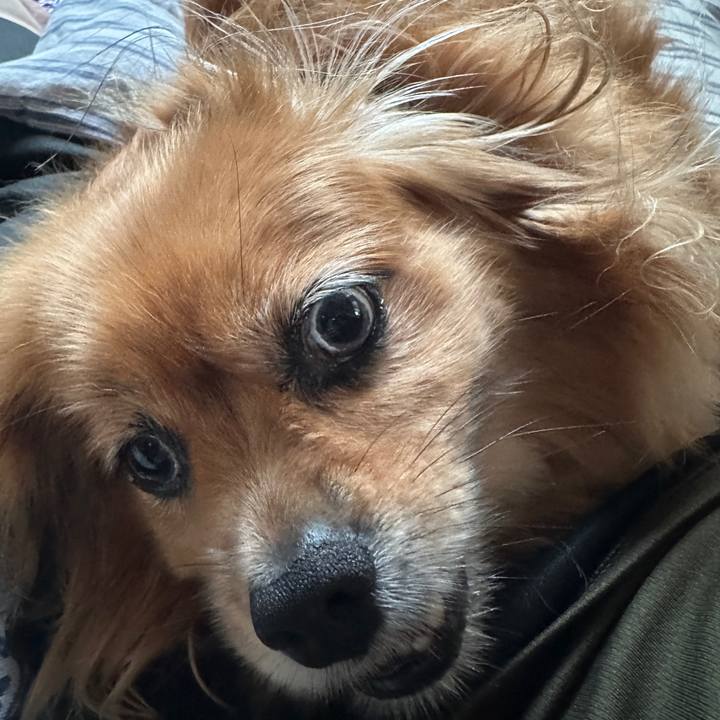 209c3bd0 eb0e 4e67 a6cf c9ec3eb9651f 1724274987600