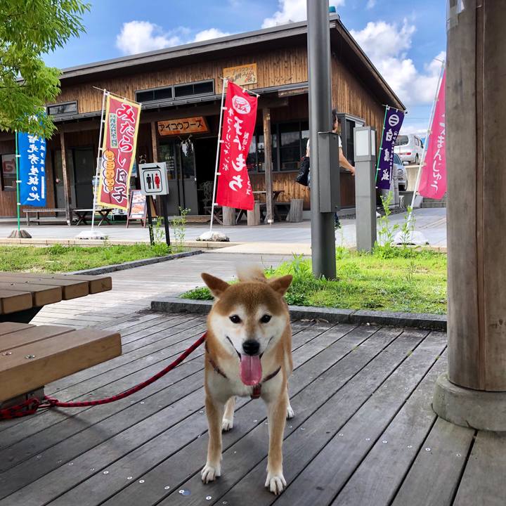 209c703a 6659 4295 8270 3947a175959f 1562921788543