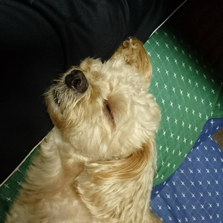 209c8364 30c9 44ed bb52 e21ada8aa1fc 1536405010420