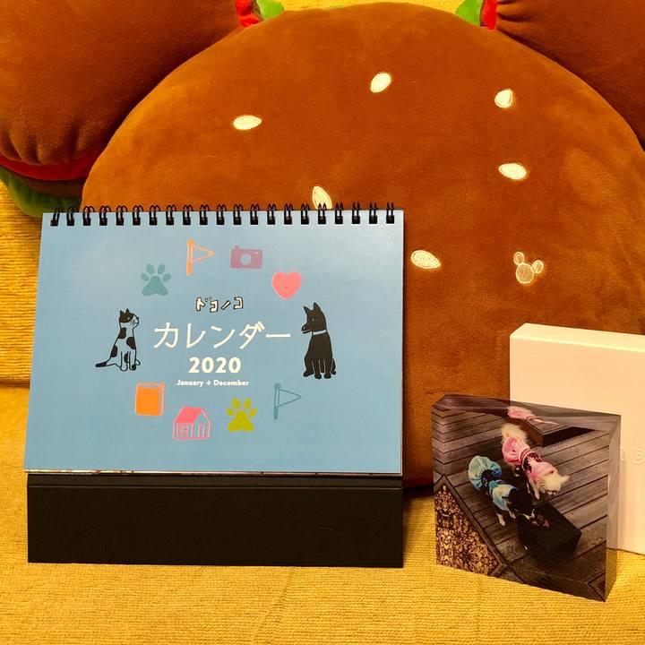 209cec61 77b1 48a6 b5ed 2b4161fbb373 1575128145422