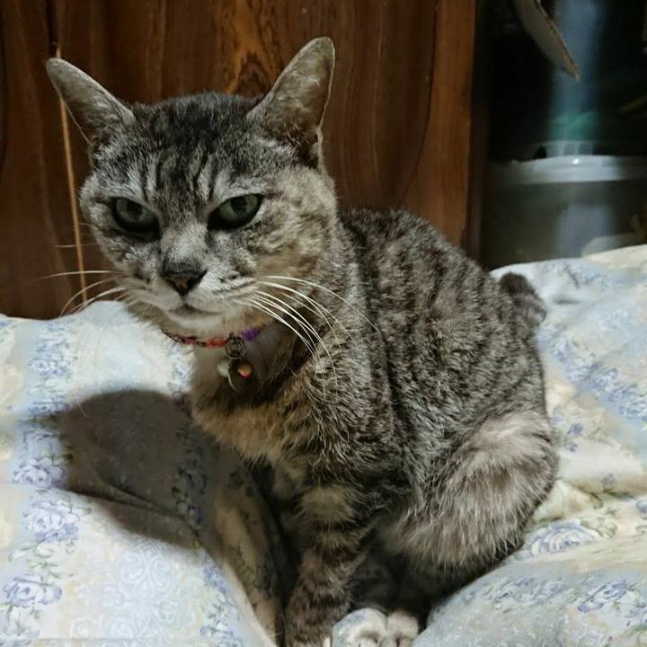 209d1c14 110f 43a2 9d76 fa7469a6bc47 1589457654912