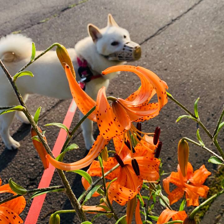 209d2367 5680 4a2c b329 83673fadcede 1564780157580