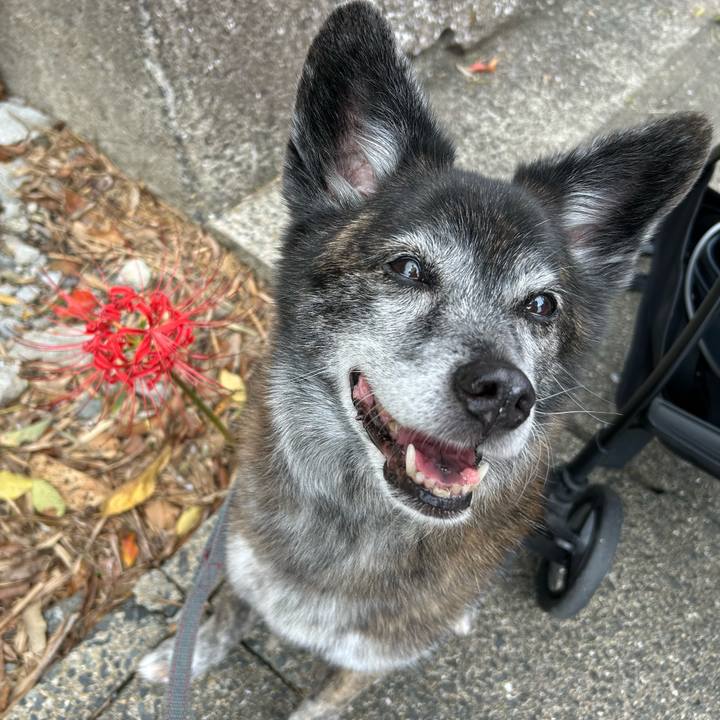 209d4357 d30c 4423 a4dd babb9488e461 1728739959312