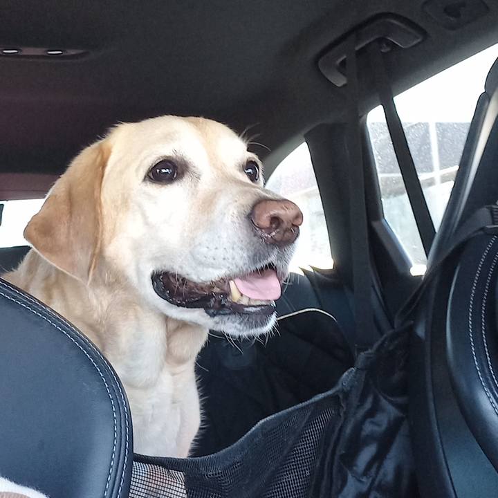 209d6beb aba6 4818 969c 448b5c0c05ad 1679222649533