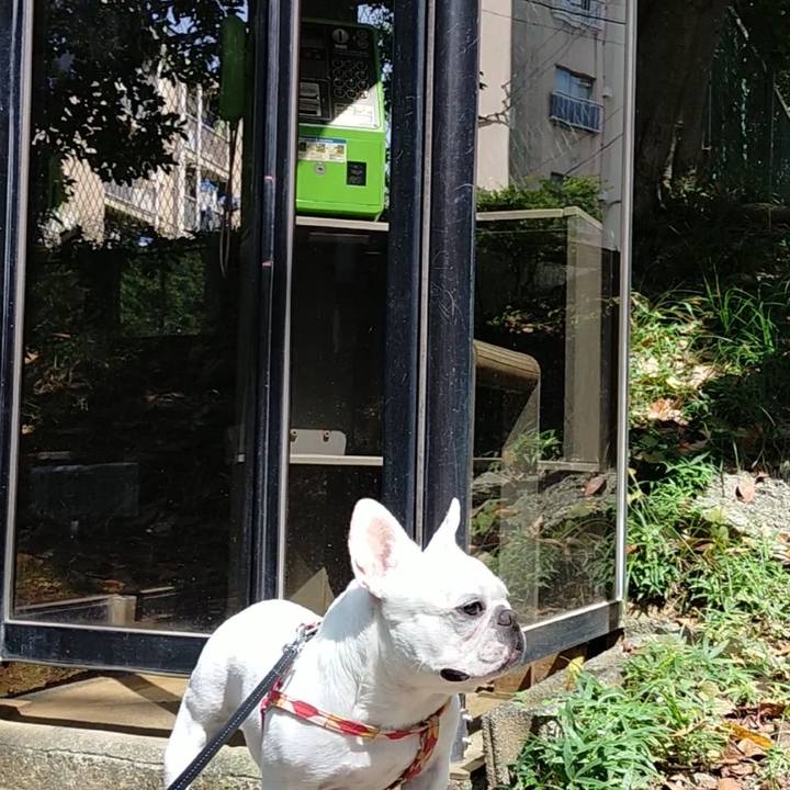 209d6d0b 4ac5 417e bae1 127269aaa070 1662960903137