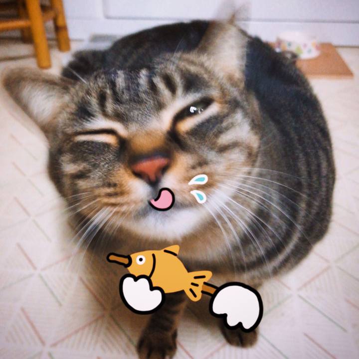 209d725d 82d0 4890 b637 9e1aed4a3c8d 1576830843225