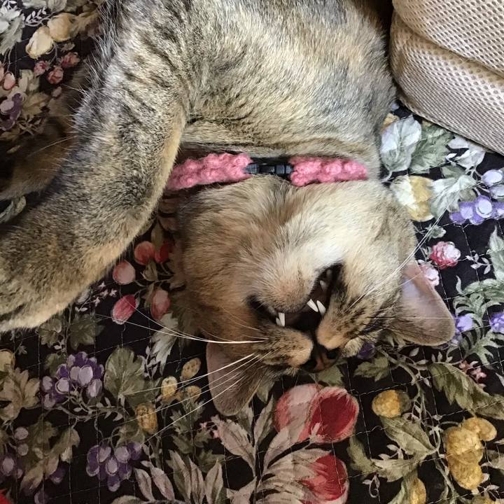 209d7d69 403b 41ea b3ef a192de361ffe 1592609234548