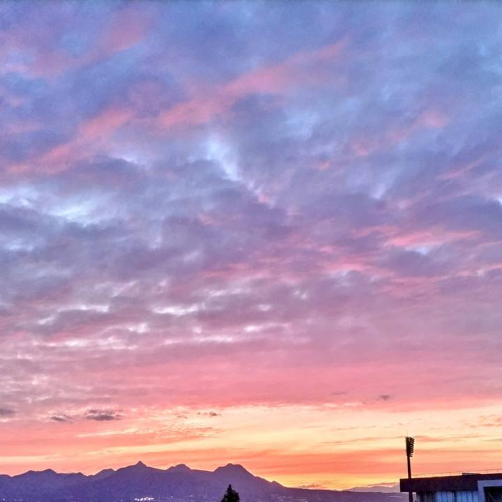 209d7f35 2339 4847 a35a 5a4c8976f99c 1719806928302