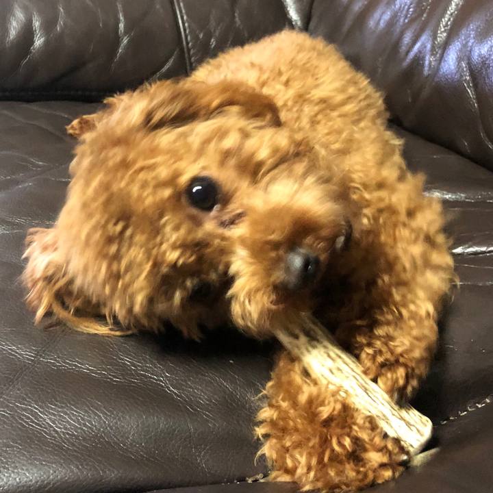 209dc65c 2f0a 4c7f aad3 12a7cf09d018 1507800404383