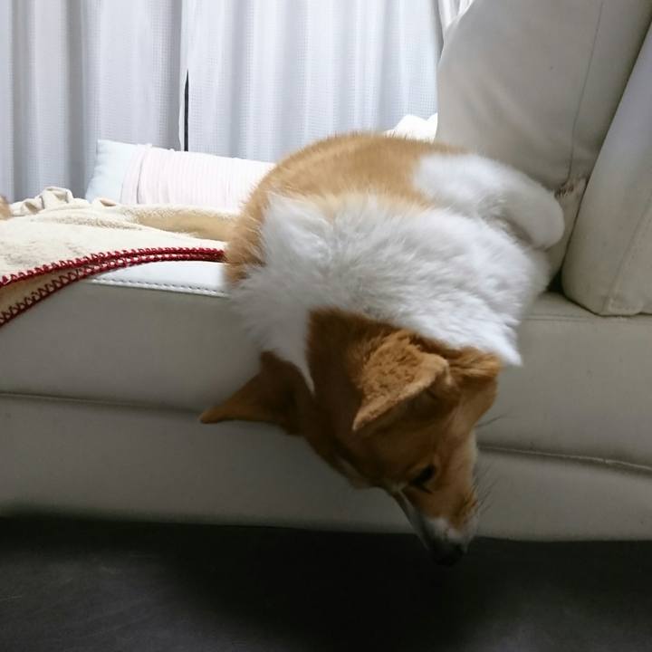 209dc65e 7976 43c6 b00a 4062c0bd8ab4 1548633016891