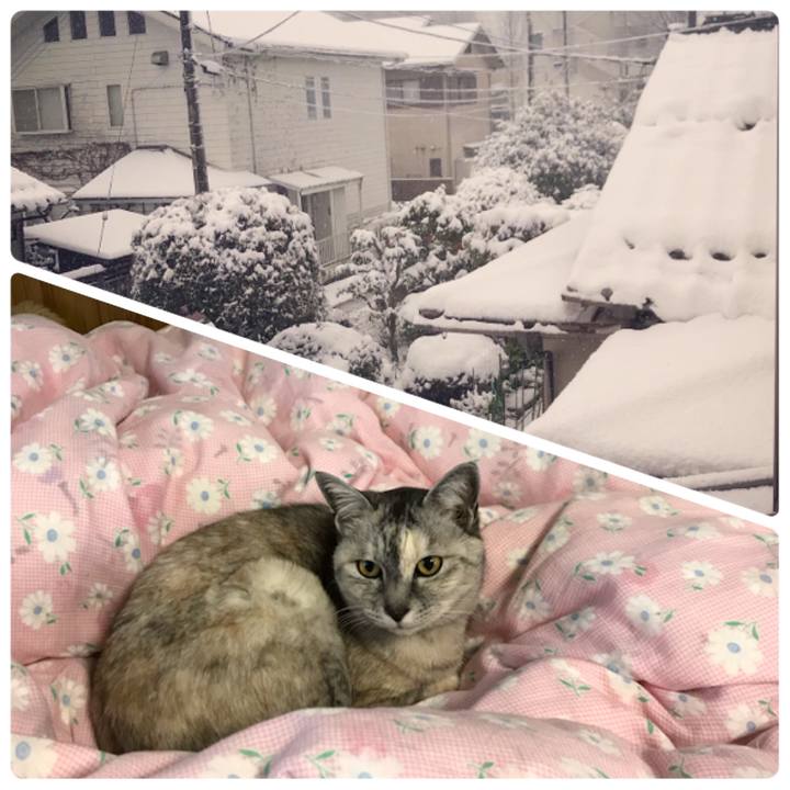 209de9f6 28dc 4891 ae94 8e90ef079744 1580946346779