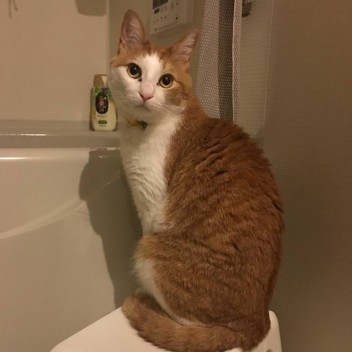 209e43f6 fb58 4eab 89b6 e54fd3af59b5 1554982379027