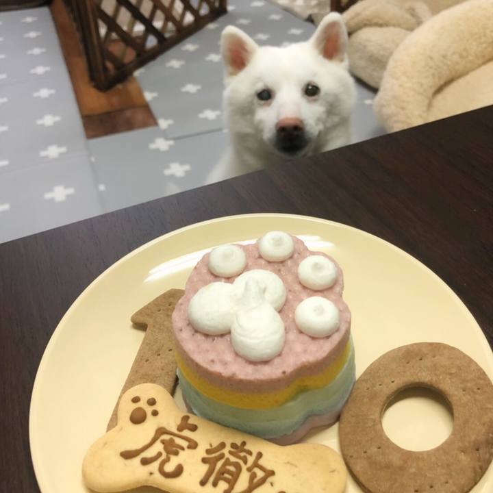 209e4be3 bc7d 4a25 9f4d 87a8e415ce78 1644323762725