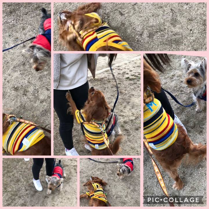 209e7372 6777 4d17 857c 242cc2d44ccc 1612008517725