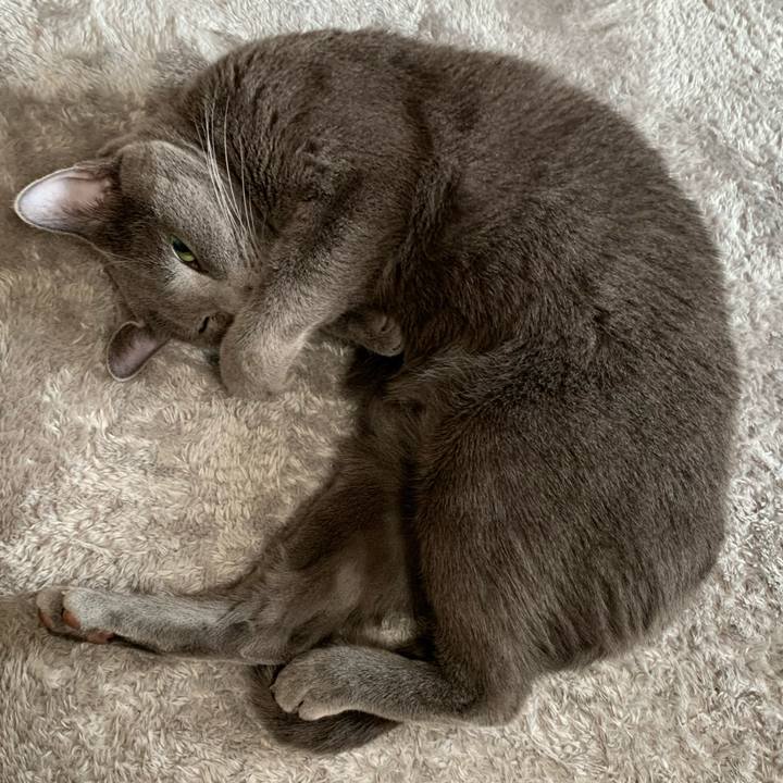 209ee8cf 8b17 4cff 8287 1b1cb29b5e4e 1622162075952