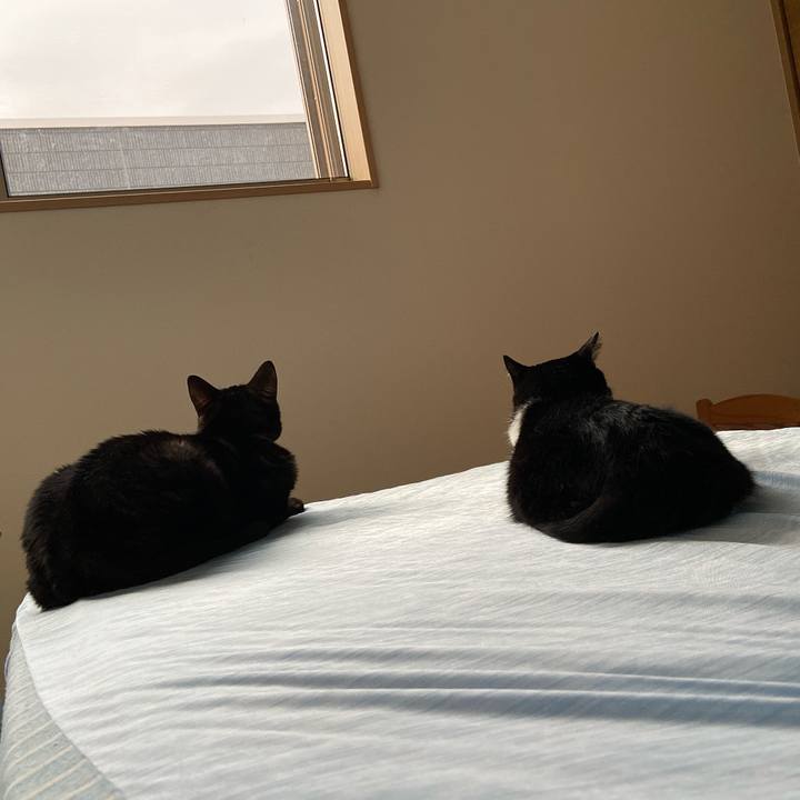 209eec8f ba15 474b b5ec d57e3adfa877 1599178353661