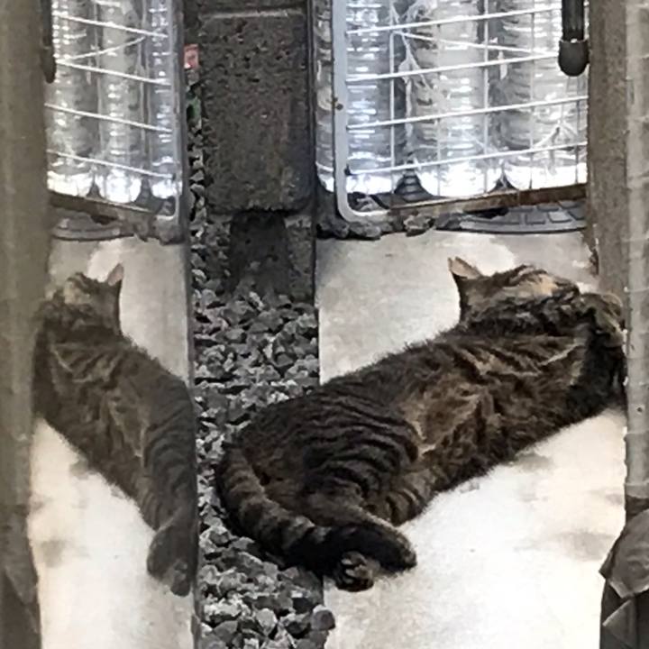 209f0f07 fe78 40a5 bd21 cda7110fa709 1565245474790