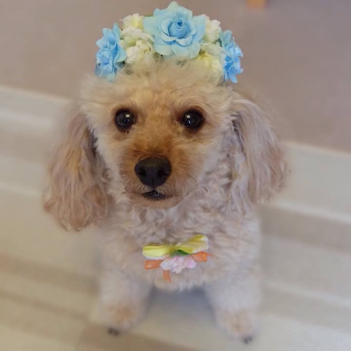 209facb7 da60 44c9 a115 27d9abde4017 1590477350860