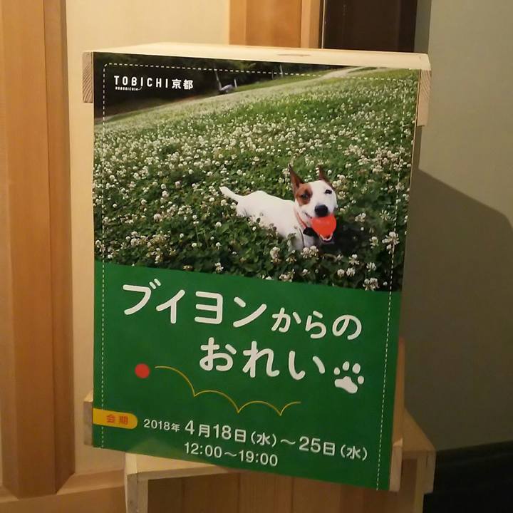 209fc87b 3640 430f 978d aa5451f5e342 1524203845455