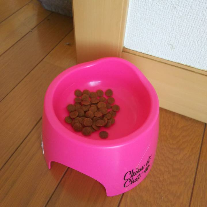 209fca27 a6e5 4600 890c 4d0daf89d5e0 1533342368293