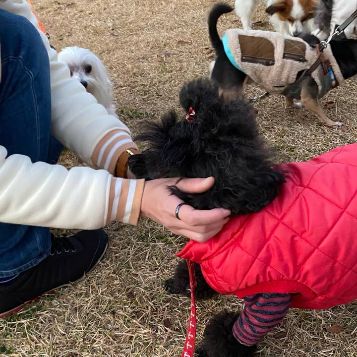 209fd18e b37b 42a9 b5c8 a9086203ca89 1638609112083