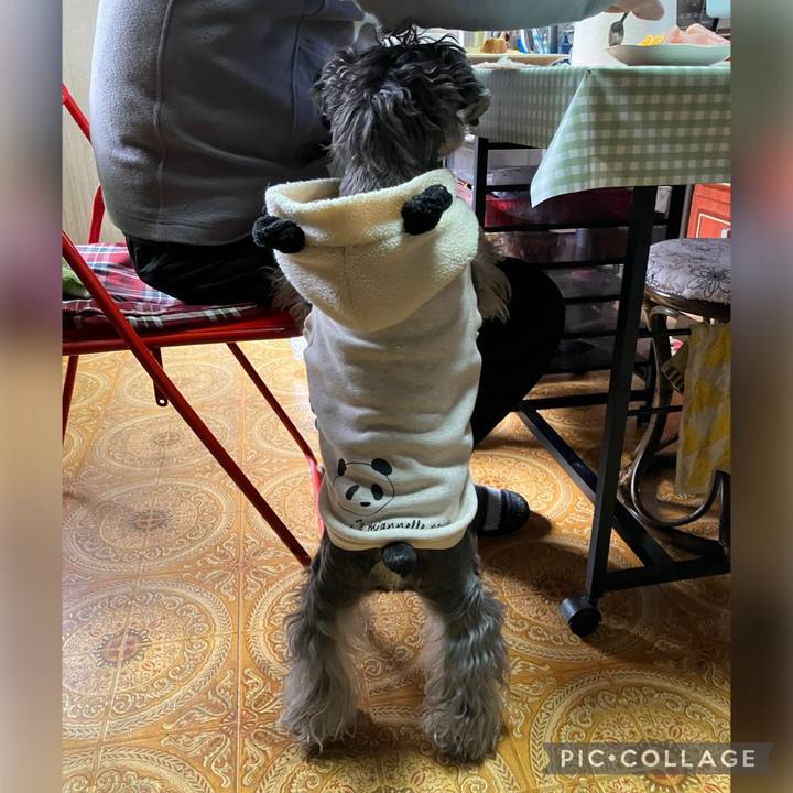 209fe131 d575 4901 9ca2 560db88bd6ae 1738368924690