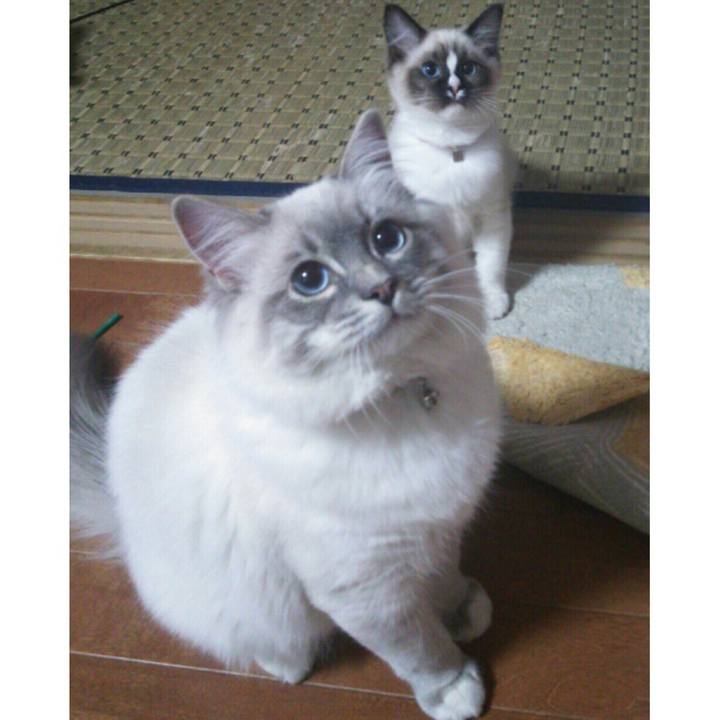 209feb8f 211e 42ae a941 c10d4aacb4a7 1532354682177