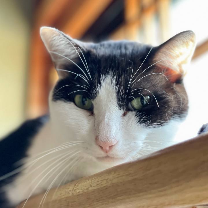 209fee71 1ec0 4a1e a0df 6de97862d949 1634610309605