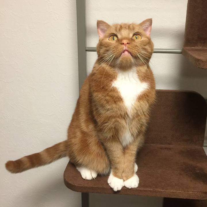 209fef0f 01be 472e b437 4cb03e1b3f12 1589494847705