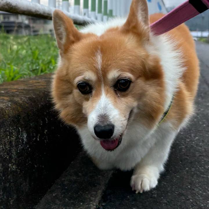 20a02fa7 994a 4503 a935 2e637d61e761 1754964357003