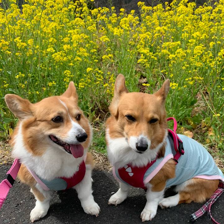 20a03ef6 a439 455f abed ba19bbca7e40 1616385960388